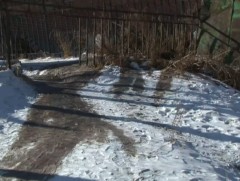 Гэр хорооллын зарим айл өрх угаадас, үнс нурмаа ил задгай хаясан хэвээр байна 