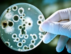 Антибиотикийн зохистой хэрэглээ нь бичил биетний тэсвэржилтийг бууруулахад чухал ач холбогдолтой