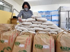 Токио хотод цагаан будааны үнэ 90 хувиар өсжээ 