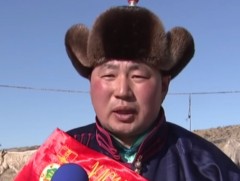 Д.Лувсандагва аргаль, бугын сүрэгт өөрийн тарьсан ногоон тэжээлийг тавьж өгдөг