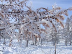 ЦАГ АГААР : Улаанбаатарт өдөртөө 2 хэм хүйтэн