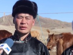 Хөвсгөл аймгийн Төмөрбулаг сумын малчин Х.Ганбат 