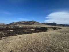 Ой хээрийн түймэр нь байгаль орчинд нөхөж баршгүй хор хохирол учруулдаг