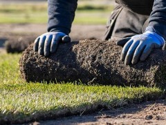 Арктикийн хөрс дэлхийн дулаарлыг удаашруулдгийг эрдэмтэд тогтоожээ