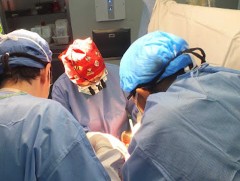 Донорын тухай хуульд өөрчлөлт оруулах шаардлагатай