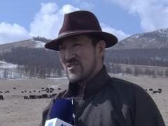 Л.Ганбаатар: Цөөн малыг төрөлжүүлж өсгөх нь үр дүнтэй байна 