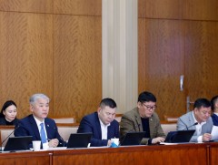 Хуулийн төслийг үзэл баримтлалын хүрээнд хэлэлцэхийг дэмжлээ