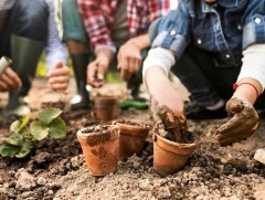 Амралтын өдөр гэр бүлээрээ хийж болох сонирхолтой 10 зүйл