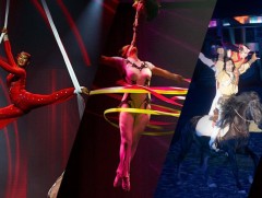 Монголын циркчид нийслэлийн төв талбайд чуулна