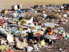 Хог хаягдлын тухай хууль зарим шатандаа хэрэгжихгүй байна 