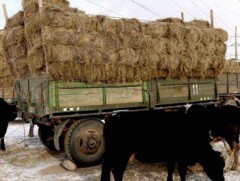 Аймгийн аюулгүйн нөөцөд байгаа 10 мянган боодол өвсийг малчдад 50 хувийн хямд үнээр худалдана