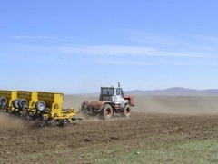 Улсын хэмжээнд 655 мянган га талбайд тариалалт хийнэ