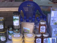 Нэг ангийн 13 найз нийлж зөгийн аж ахуй эрхэлж байна 