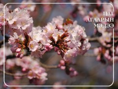ЦАГ АГААР: Улаанбаатарт өдөртөө 25 хэм дулаан