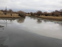 Нийслэл хотын иргэдийн ундны эх үүсвэрийг хангадаг Туул гол 90 орчим хувийн бохирдолтой байна 