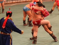 Увс аймгийн Сагил сумын 100 жилийн ой, улсын начин Б.Насандэлгэрийн нэрэмжит бөхийн барилдаан болно