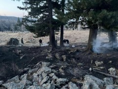 Улсын хэмжээнд ой, хээрийн түймрийн эрсдэл өндөр хэвээр байна