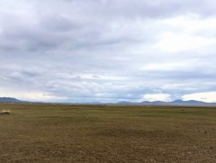 Бэлчээрийн ургамал цөөн сумын нутгаар хэвийн, бусад нутгаар дунд байна 