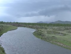 Арвайхээр хотоос 17 км-т ус хуримтлуулах далан байгуулж, Онги голын урсацыг сэргээнэ 