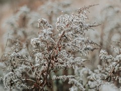 Хангай, Хөвсгөл, Хэнтийн уулархаг нутгаар бороо, нойтон цас орж, ихэнх нутгаар сэрүүхэн байна 