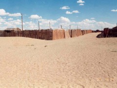 Аймгийн төвүүдийн хөрс доройтон, цөлжиж байна 