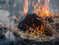 Сүүлийн 10 хоногт ой хээрийн 10 түймэр гарсны 5 түймрийг унтраагаад байна