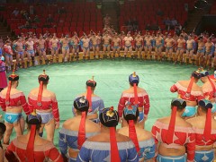 Улсын арслан Г. Дэмүүлийн нэрэмжит  барилдаан өнөөдөр болно