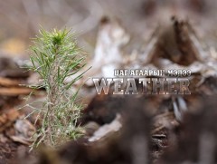 ЦАГ АГААР: Улаанбаатарт өдөртөө 17 хэм дулаан