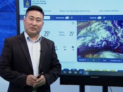 Зуны тэргүүн сарын төлөв шинж