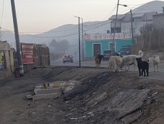 Сурагчдын гэр, сургууль хүрэх зам эрсдэлтэй байна