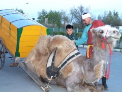 Сэцэн ханы ордон музейн нээлт боллоо