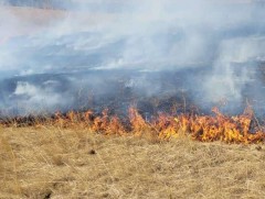 Амралтын өдрүүдэд шар өвс шатсан дуудлага нэмэгддэг