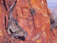 Дөчин жил гэрэл зураг авч нэг сая орчим зураг архивлажээ