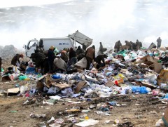 16 настай хүү Улаанчулуутын цэг дээр ажиллаж, гурван дүү, ээжийгээ тэжээж байна