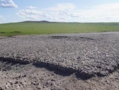 2024 онд Чойрын замд зам, тээврийн 79 осол бүртгэгдэж, ослын улмаас 12 хүн амь насаа алджээ