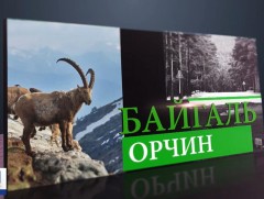 Говийн бүсэд цөлжилт, газрын доройтлыг бууруулахад модыг үр дүнтэй тарих шаардлагатай