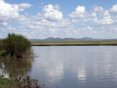 Өнгөрсөн долоо хоногт дөрвөн иргэн голын усанд энджээ