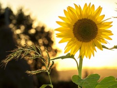 Ойрын 10 хоногт цаг агаар ямар байх вэ 