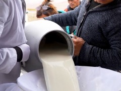 Монгол Улс жилд 800 сая литр түүхий сүү үйлдвэрлэдэг ч 10 хувийг нь л боловсруулж байна 