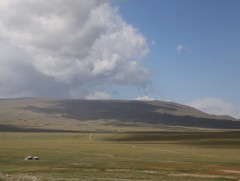 Бэлчээрийн ургамал зарим сумын нутгаар муу байна 