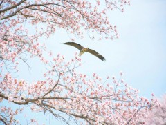 Ирэх 10 хоногт цаг агаар ямар байх вэ 