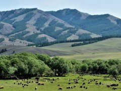 Долоо, наймдугаар сард нийт нутгаар олон жилийн дунджаас дулаан 