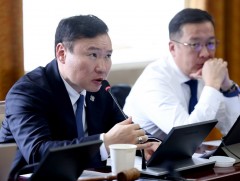 ХЭДХ: Гадаад улсад зорчиж буй, ажиллаж, амьдарч байгаа иргэдийн эрхийг хамгаалах чиглэлээр шийдвэр..