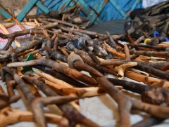 Тэмээний буйл урлах, танин мэдэх арга ухааныг боловсролын хөтөлбөртөө оруулжээ