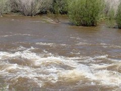 Орхон гол Хархорин сум, Буянт гол Дэлүүн сум орчимд үерийн түвшинг 15 см давжээ 