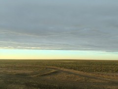 Нийт нутгийн 6 хувь нь ой, хээрийн түймэрт өртөх эрсдэл 