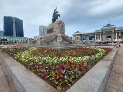 Нийслэлийн таван дүүргийн 20 байршилд 15 нэр зүйлийн 321 мянган цэцэг суулгана