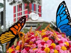 ЦАГ АГААР: Улаанбаатарт  өдөртөө 26 хэм дулаан