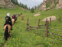 Манай улсад он гарснаас хойш 226 мянган жуулчин иржээ