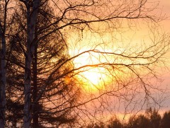 Зургаадугаар сарын 22-24-нд ихэнх нутгаар, 25-26-нд нутгийн зүүн хагаст 30 хэм давж хална 